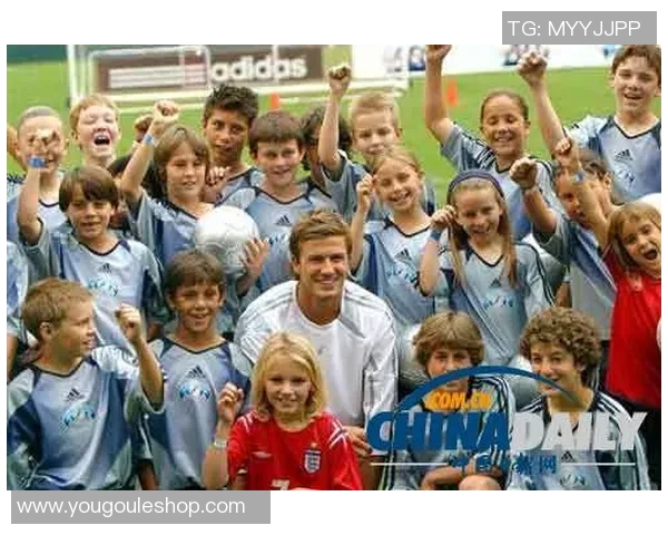 2023年意大利现役足球明星最新排名及其职业生涯成就分析