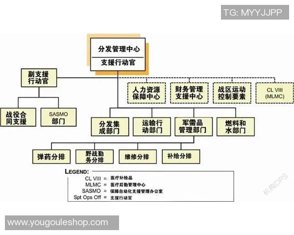 城市联赛分析：西安排球队配合默契与战术执行的全面评估