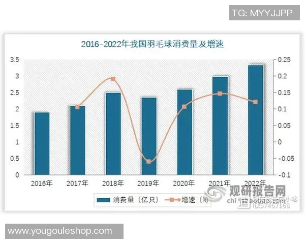 深圳羽毛球队运营策略深度分析与发展前景展望 深圳羽毛球队运营策略深度分析与发展前景展望