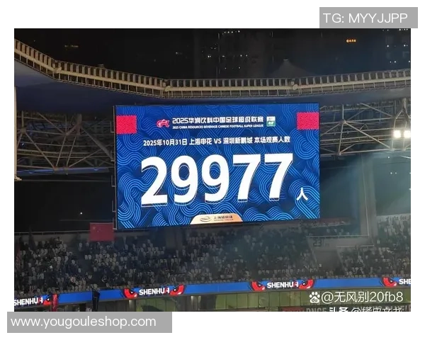 中国足球明星在球迷心中的地位与影响力分析