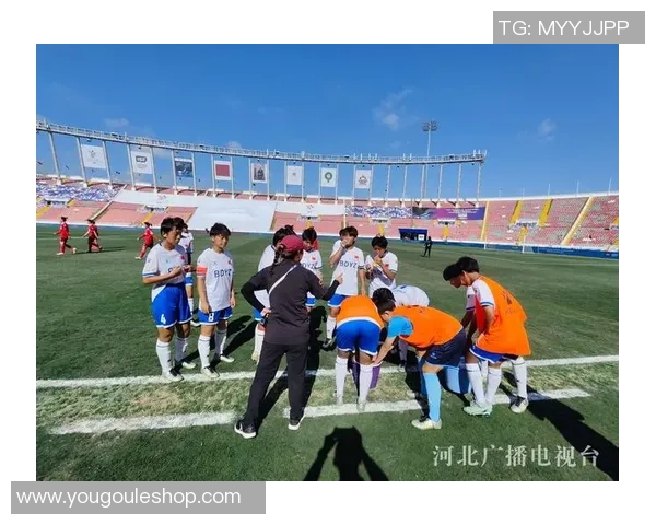 保定足球明星的崛起与辉煌历程探秘，谁是这座城市的骄傲之星